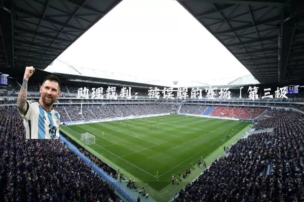助理裁判：被误解的赛场「第三极」